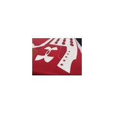 正规的租用服务器_8832公司财务托管怎样可以快速 服务器托管什么时