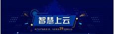 在国内服务器市场中占比为35