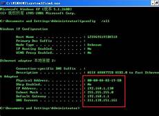 免费永久vps服务器美国VPS服务器关于Windows系统与Linux系