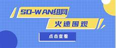 租大带宽服务器,大带宽服务器租用?租大带宽服务器 (1G